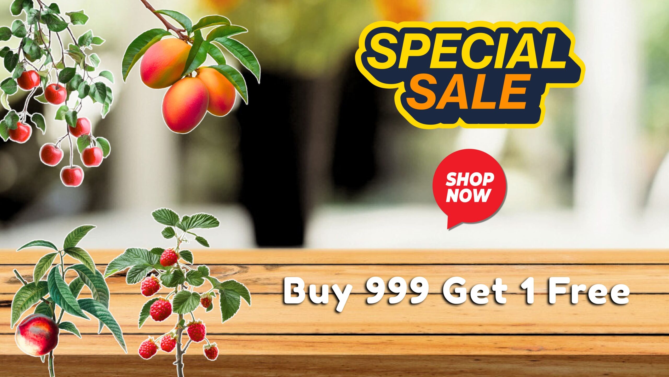 Buy 999 Get 1 Free_page-0001 (1)