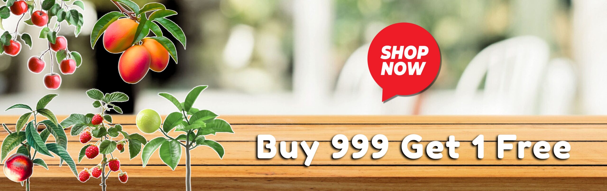 Copy of Giggling Platypus Co._page-0001 (3)