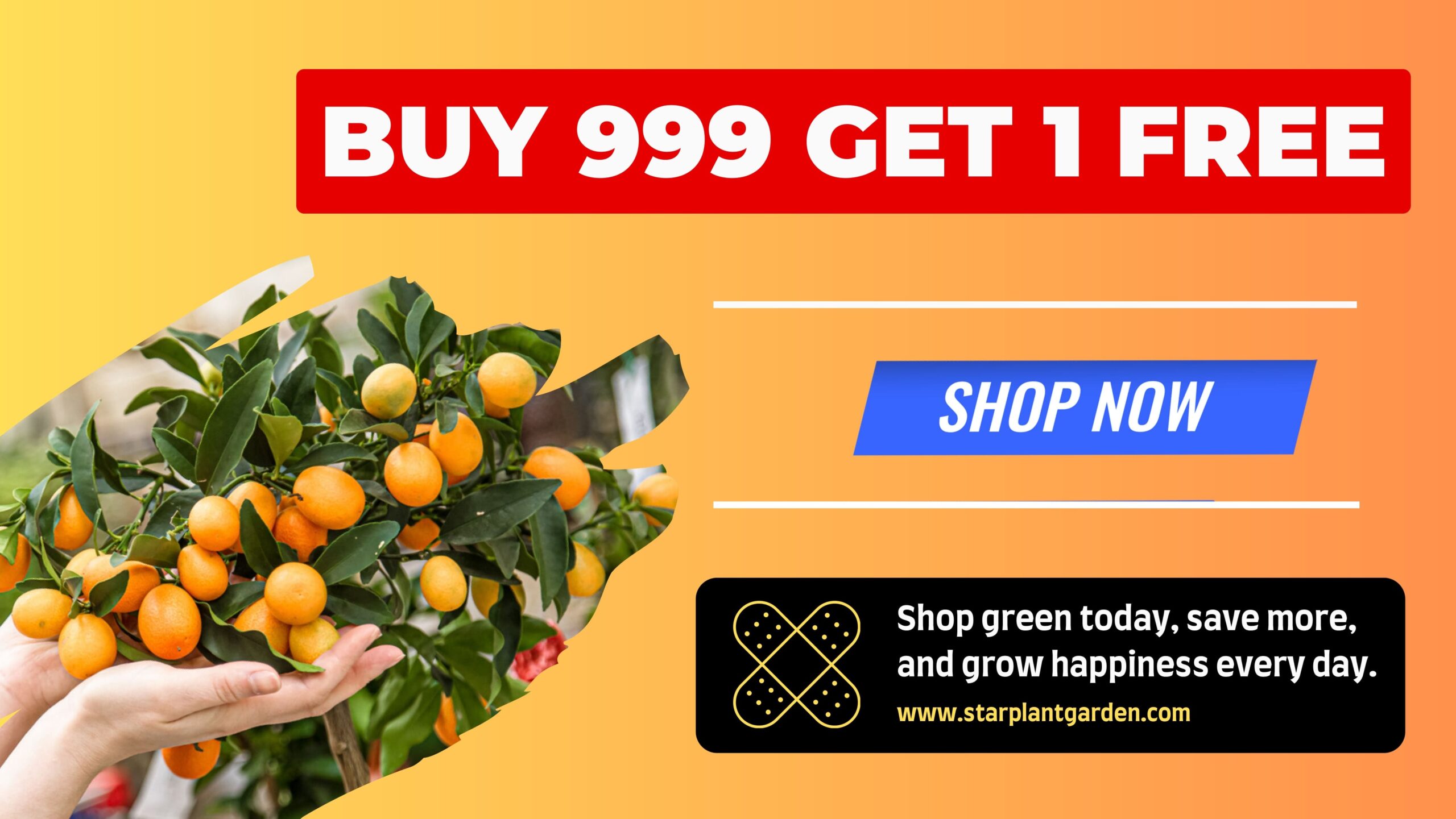 Untitled design_page-0001 (1)