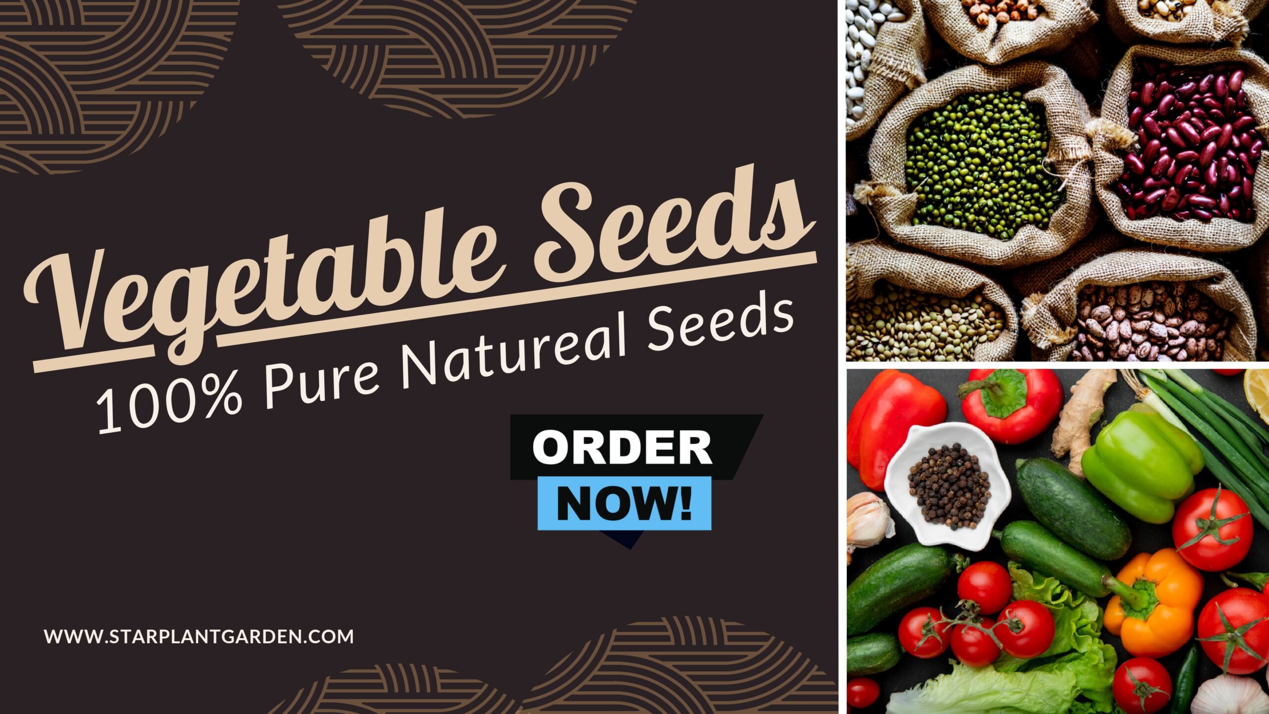 Untitled design_page-0001 (2)