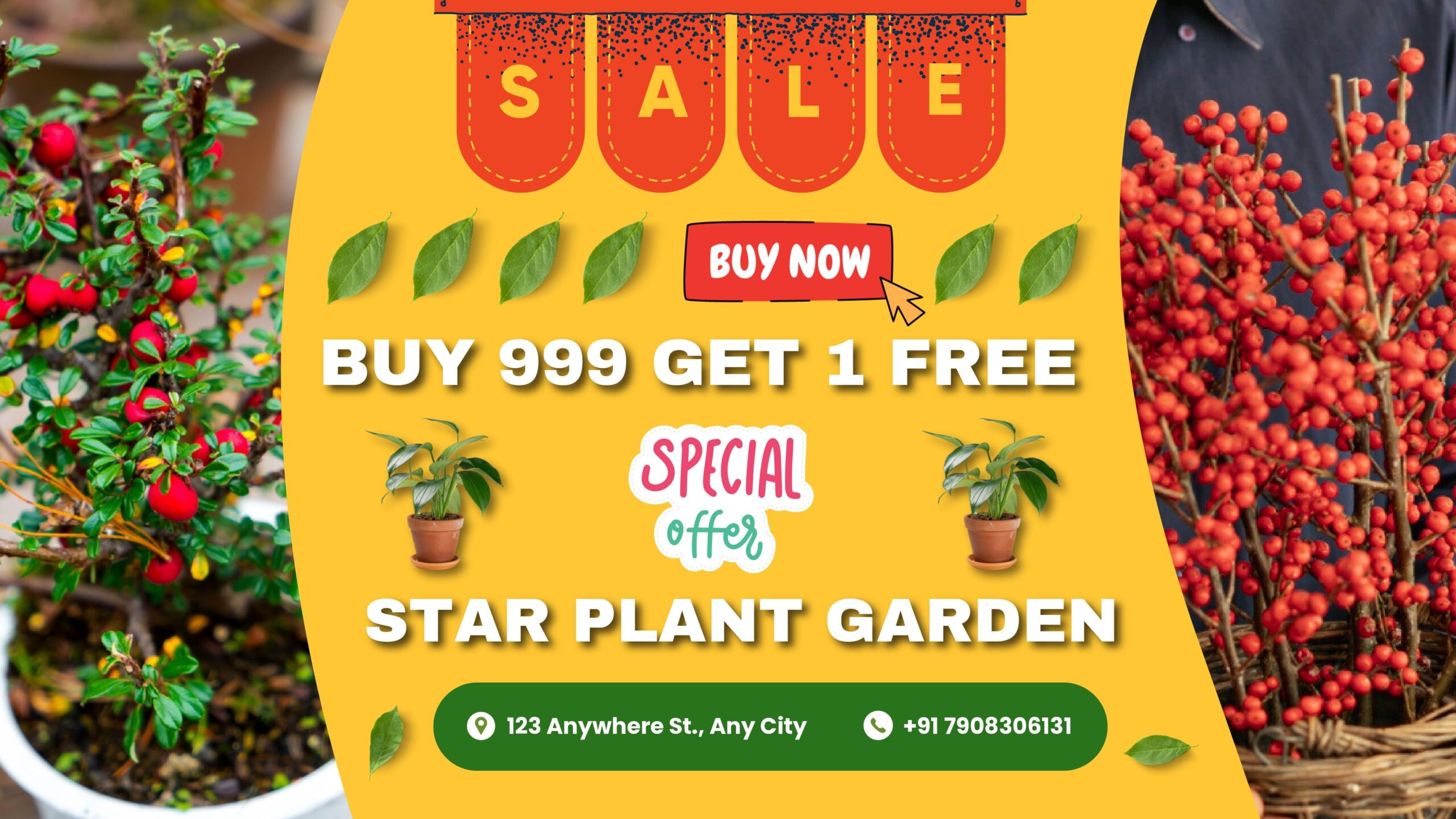 star plant garden_page-0001 (1)